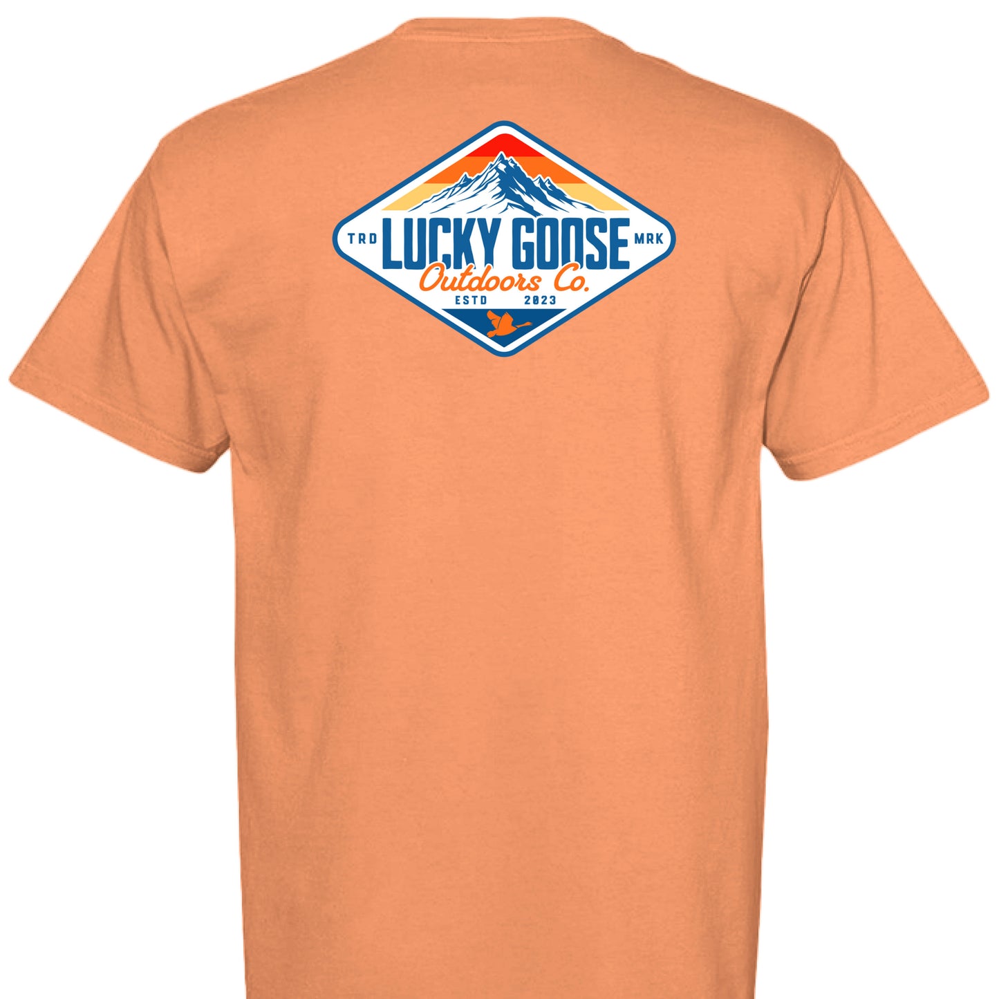 BURNT ORANGE - BACK